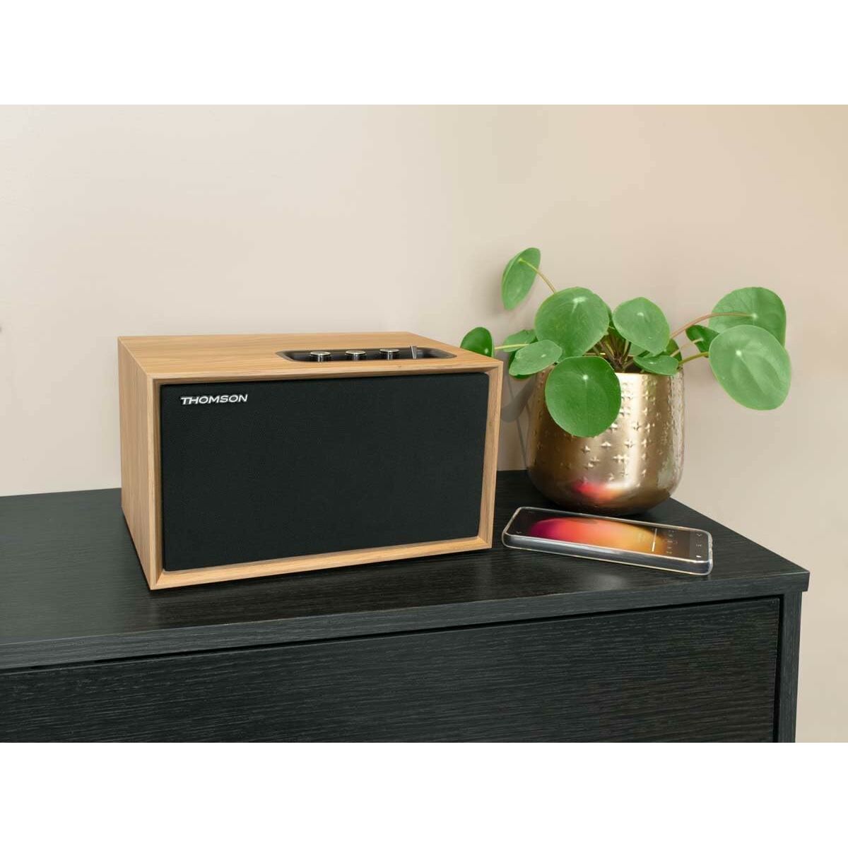 Speakers Thomson 50 W